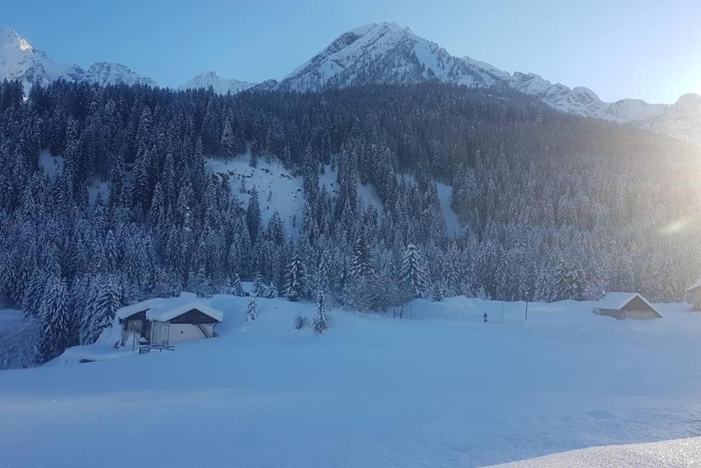 Willa Chalet Rustico Bertolini Per Gruppi! Vermiglio Zewnętrze zdjęcie