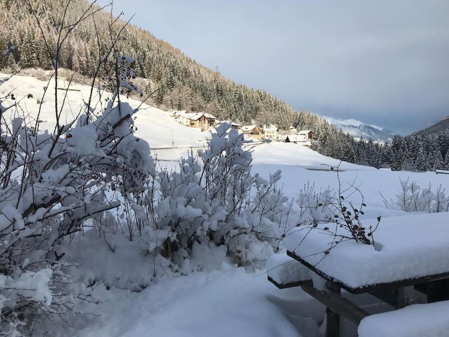 Willa Chalet Rustico Bertolini Per Gruppi! Vermiglio Zewnętrze zdjęcie