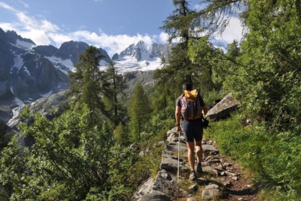 Willa Chalet Rustico Bertolini Per Gruppi! Vermiglio Zewnętrze zdjęcie