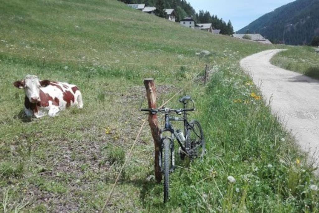Willa Chalet Rustico Bertolini Per Gruppi! Vermiglio Zewnętrze zdjęcie