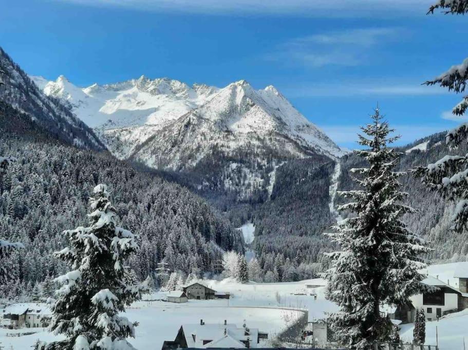 Willa Chalet Rustico Bertolini Per Gruppi! Vermiglio Zewnętrze zdjęcie