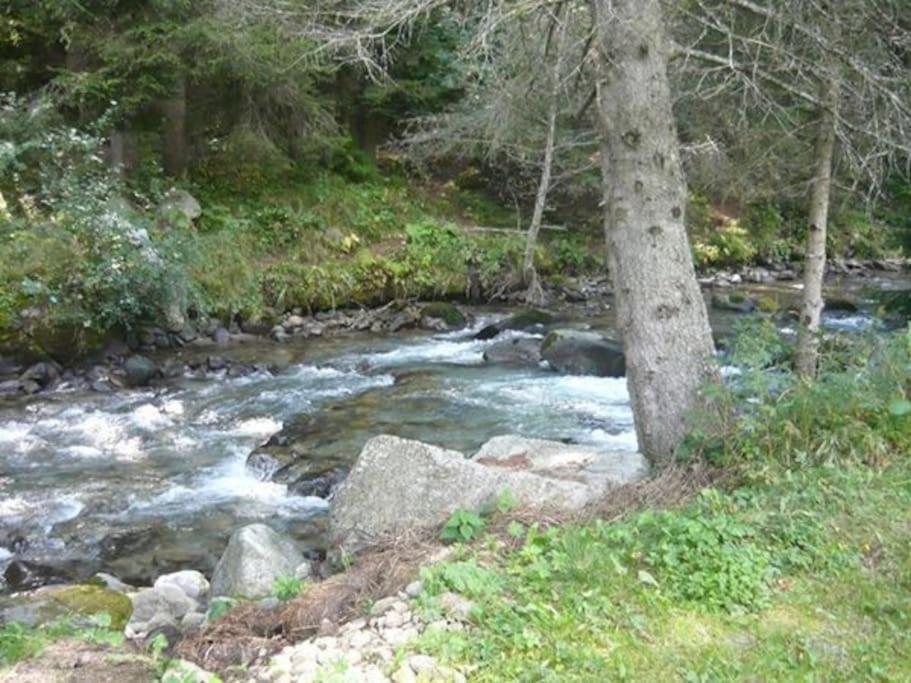 Willa Chalet Rustico Bertolini Per Gruppi! Vermiglio Zewnętrze zdjęcie
