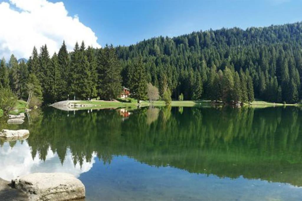 Willa Chalet Rustico Bertolini Per Gruppi! Vermiglio Zewnętrze zdjęcie