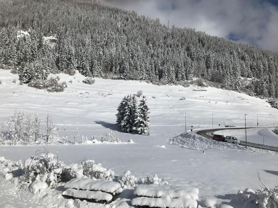 Willa Chalet Rustico Bertolini Per Gruppi! Vermiglio Zewnętrze zdjęcie